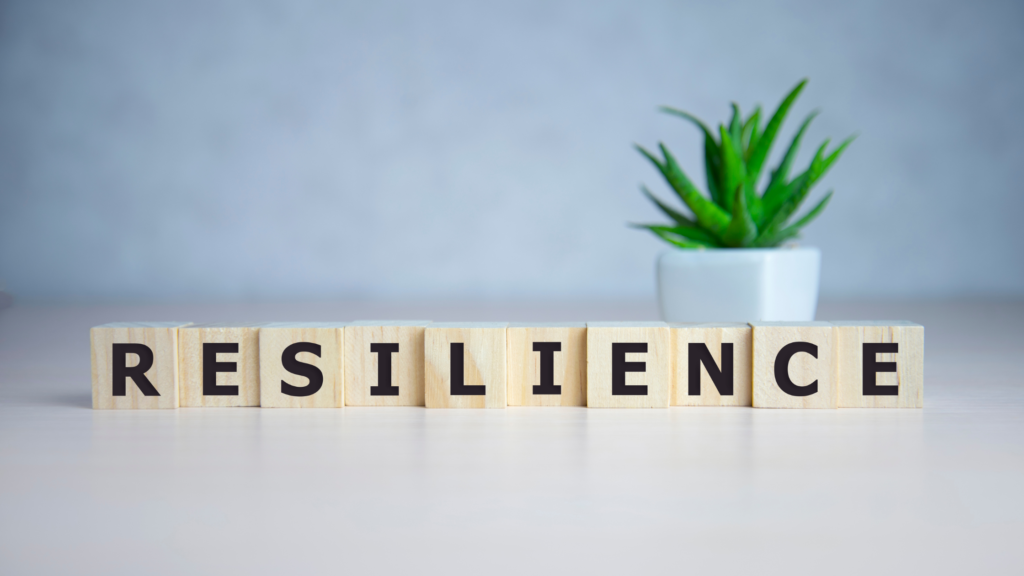 Resilience post