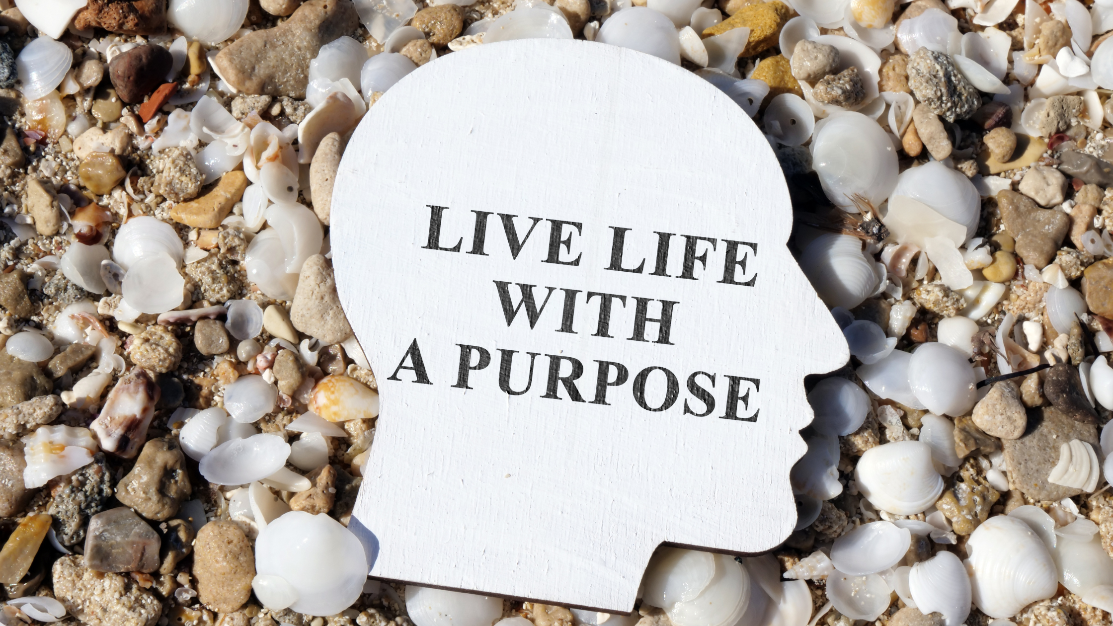 A post talking about living life with a purpose